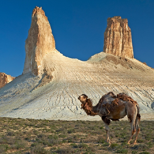 Путешествие по Мангистау, Актау