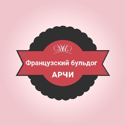 Французский бульдог 