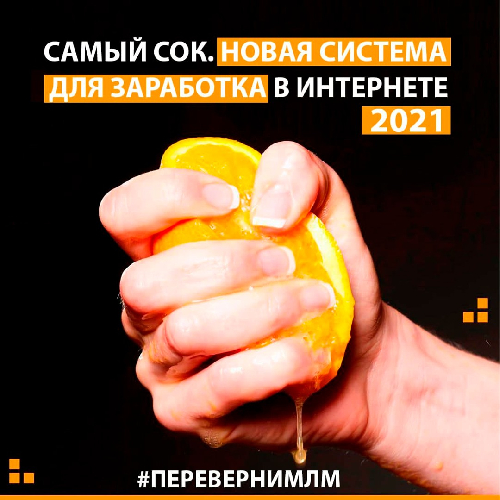 Франшиза Self- Made System