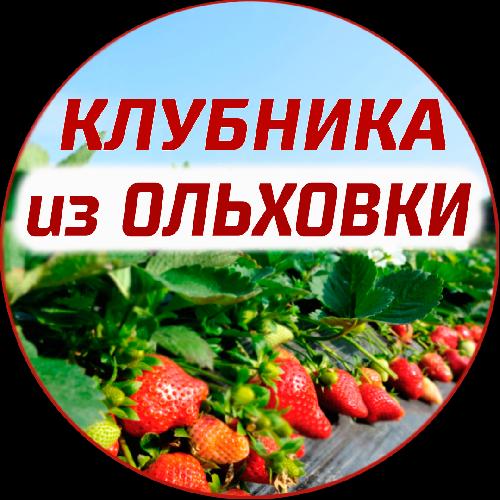 klubnika_tosno_nurma