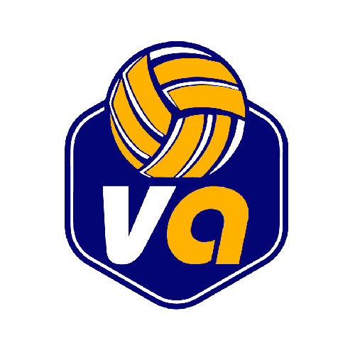 VOLLEYART