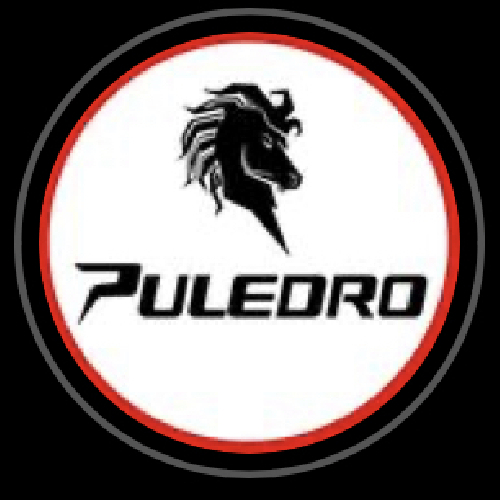 Puledro