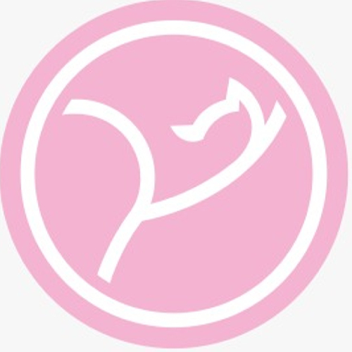 Студия растяжки LEVEL