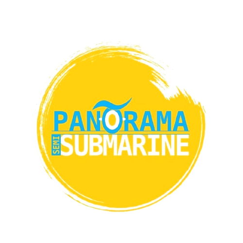 Welcome to Panorama Submarines