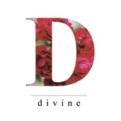 Divine_studio