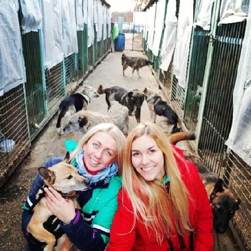 Приют Некрасовка 10 сектор